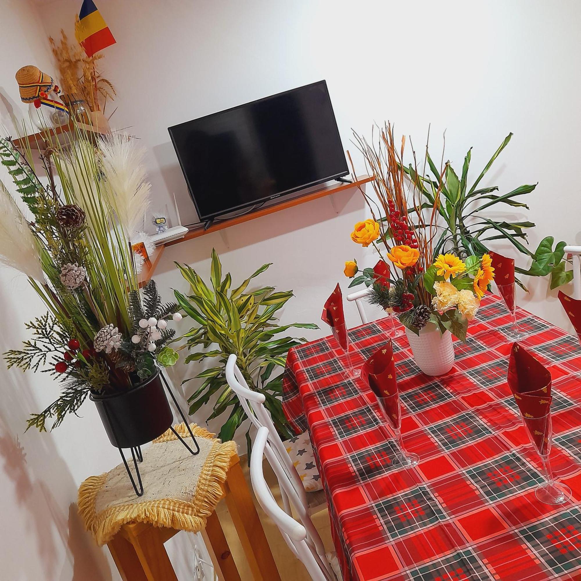 Apartment Boulevard Cetate Alba Iulia Værelse billede